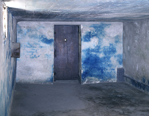 Majdanek Gas Chamber Window